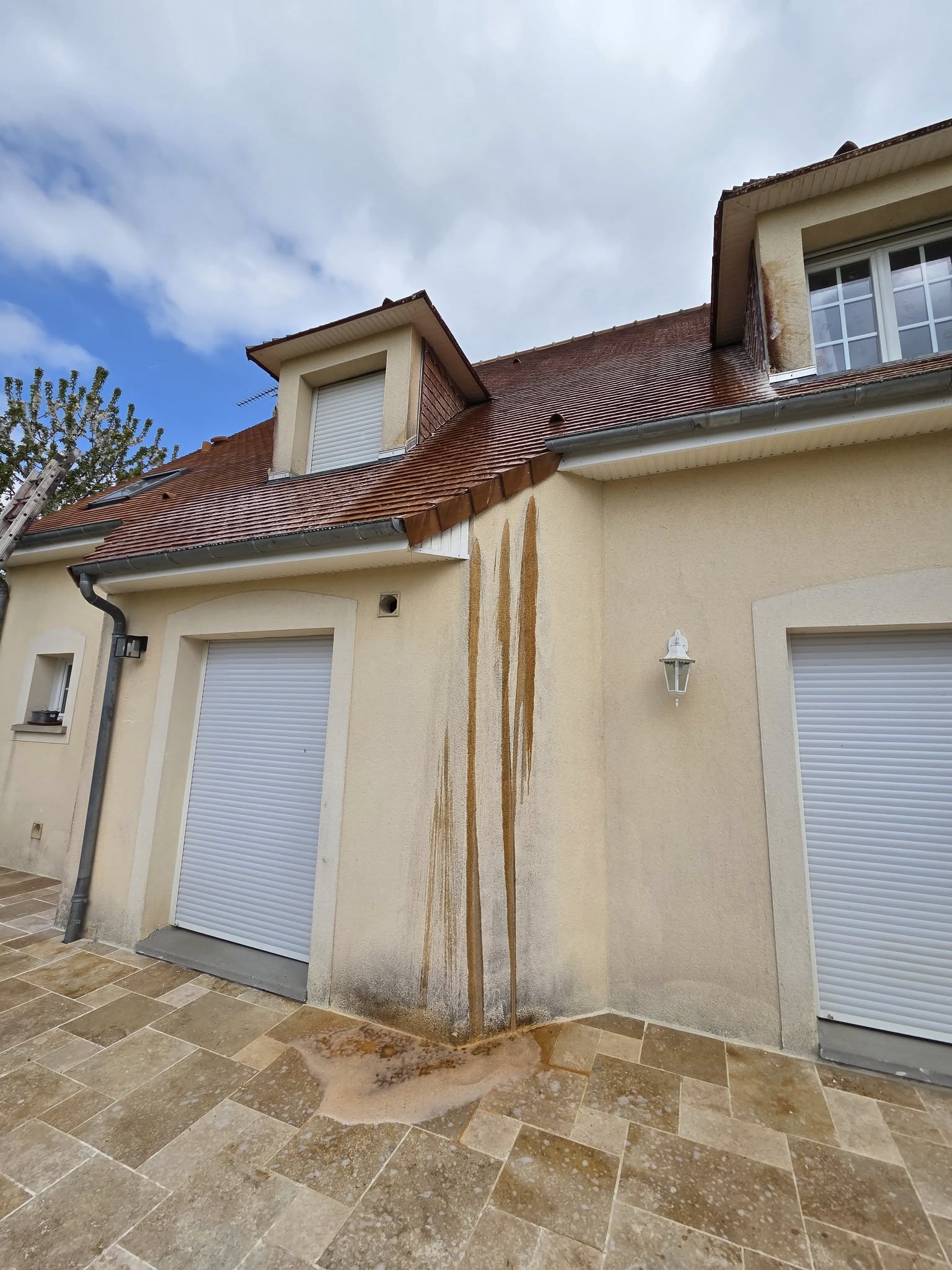 demoussage toiture la ferte mace